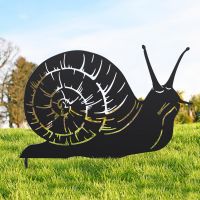 Snail Silhouette in Situ