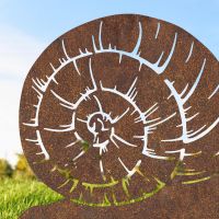 Close up of snail shell silhouette 