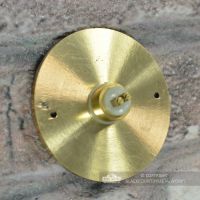 Sovereign Park Polished Brass Classic Bell Push Rear Contact Plate