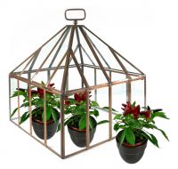 Square Copper and Glass Mini Greenhouse Cloche