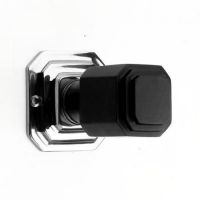 Bright Chrome Door Handle in an Ebony Finish