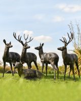 Stag and Doe Sculpture collection of five