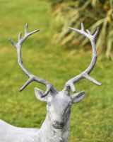 "Delksin" Lead Finished Cast Iron Stag Sculpture - Facing Right Antlers