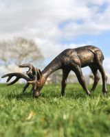 "Oliver" Grazing Stag Garden Sculpture