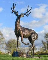 "Herschel" Stag On Rock Sculpture "Herschel" Stag On Rock Sculpture