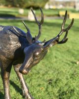 Close Up Of "Magnus" Buck Sculpture In Situ 