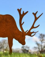 Close up Of Rustic Stag Close up Of Rustic Stag