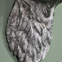 Close-up of the Detail on the Stag Wall Head Bust