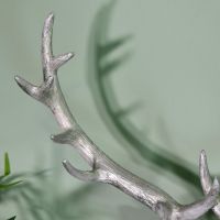 Close-up of the Antlers on the Stag