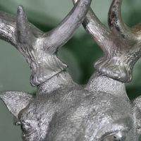 Close-up of the Antlers Connected to the Stags Head