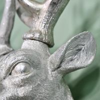 Close-up of the Detail on the Stag Wall Head Bust