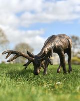 "Oliver" Grazing Stag Garden Sculpture