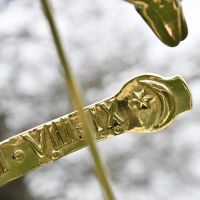 Close-up of the Roman Numerals on the Inside of the Serpent Armillary