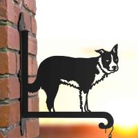 Steel Border Collie Hanging Basket Bracket in Situ