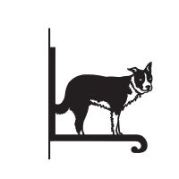 Close-Up of Steel Border Collie Hanging Basket Bracket