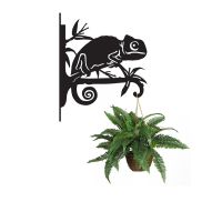 Steel Chameleon Hanging Basket Bracket with Planter