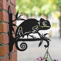 Steel Chameleon Hanging Basket Bracket