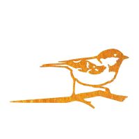 Close-Up of Steel Coal Tit Tree Spike - Rustic