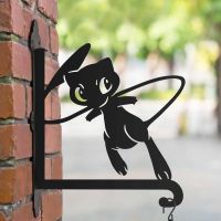 Steel Generation I Psychic Character Hanging Basket Bracket in Situ Steel Generation I Psychic Character Hanging Basket Bracket in Situ