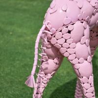 Close-Up of Rear Close-Up of Rear