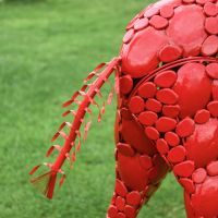 Close-Up of Rear Close-Up of Rear