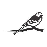 Close-Up of Steel Pied Wagtail Tree Spike - Black