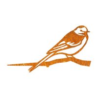 Close-Up of Steel Pied Wagtail Tree Spike - Rustic Close-Up of Steel Pied Wagtail Tree Spike - Rustic