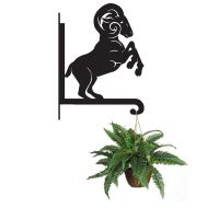 Steel Rearing Ram Hanging Basket Bracket with Planter