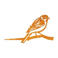 Close-Up of Steel Reed Bunting Tree Spike - Rustic