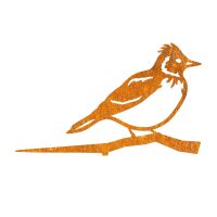 Close-Up of Steel Skylark Tree Spike - Rustic