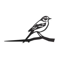 Close-Up of Steel Yellow Wagtail Tree Spike - Black Close-Up of Steel Yellow Wagtail Tree Spike - Black