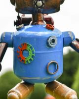 Close up of Stray Robot Body