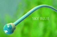 Plant Support - Sky Blue Swivel Sticks