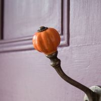 The 125mm Ironmonger Acorn Orange Ceramic Coat Hook Showing a Close up of the Ceramic Finial - Digital Illustration