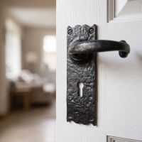 The Aldrington Curved Iron Lever Handle Shown Mounted on a Bright White Timber Door - Digital Illustration