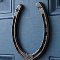 The Blacksmith Vintage Cast Iron Horseshoe Robe Hook Showing a Close up of the Horse Shoe - Digital Illustration