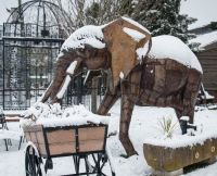 "The Colonel" magnificent iron sculpture of an African elephant