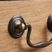 The Georgian Swan Neck Solid Brass Drop Handle - 92mm Showing a Close up of the Rose Backplate - Digital Illustration