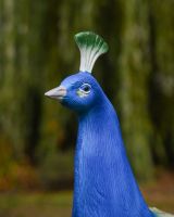 The Highgrove Cast Aluminium Peacock Garden Sculpture Showing a Close up of the Blue Head