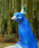 The Highgrove Cast Aluminium Peacock Garden Sculpture Showing a Detailed Image of the Head