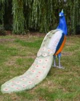 The Highgrove Cast Aluminium Peacock Garden Sculpture Shown at an Angle on a Garden lawn