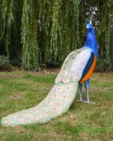 The Highgrove Cast Aluminium Peacock Garden Sculpture Shown in a Garden on a Grassy Lawn