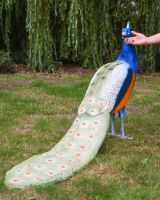 The Highgrove Cast Aluminium Peacock Garden Sculpture with Hand in Shot for Scale