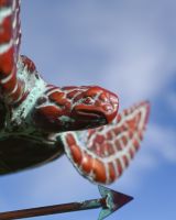 The Mariner’s Reach Sea Turtle Verdigris Copper Weathervane Showing a Close up View of the Turtle Head
