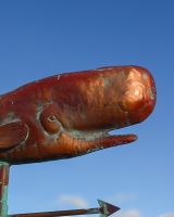 The Moby the Whale Verdigris Copper Weathervane Showing a Close up of the Head
