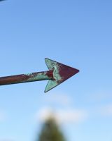 The Moby the Whale Verdigris Copper Weathervane Showing a Close up of the Tip of the Directional Arrow