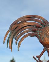 The Proud Cockerel Verdigris Copper Weathervane Showing a Close up of the Rooster Tail
