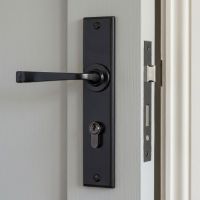 The Ravenscroft Black Lever Euro Lock Set Shown Close up on a Grey Door - Digital Illustration