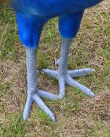 The Sandringham Cast Aluminium Peacock Garden Sculpture Showing a Close up of the Feet