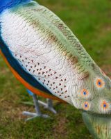The Sandringham Cast Aluminium Peacock Garden Sculpture Showing a Close up of the Patterned Wings